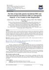 The Role of Injectable Platelet-Rich Fibrin (i-PRF) and Advanced Platelet-Rich Fibrin (A-PRF) in Androgenetic Alopecia: A New Frontier in Hair Regeneration