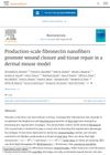 Production-Scale Fibronectin Nanofibers Promote Wound Closure and Tissue Repair in a Dermal Mouse Model