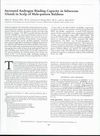 Increased Androgen Binding Capacity in Sebaceous Glands in Scalp of Male-Pattern Baldness