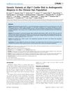 Genetic Variants at 20p11 Confer Risk to Androgenetic Alopecia in the Chinese Han Population