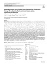 Maternal Androgen Excess Inhibits Fetal Cardiomyocyte Proliferation Through RB-Mediated Cell Cycle Arrest and Induces Cardiac Hypertrophy in Adulthood