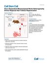 Hoxc-Dependent Mesenchymal Niche Heterogeneity Drives Regional Hair Follicle Regeneration