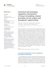 Canonical and Emerging Regulatory Mechanisms of Tissue Remodeling: Shared Principles Across Organs and Therapeutic Opportunities