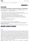 The Potential of Hair Matrix for Biomarker Analysis in Schizophrenia