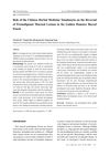 Role of the Chinese Herbal Medicine Xianhuayin on the Reversal of Premalignant Mucosal Lesions in the Golden Hamster Buccal Pouch