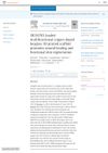 SB216763-Loaded Multifunctional Copper-Doped Bioglass 3D Printed Scaffold Promotes Wound Healing and Functional Skin Regeneration