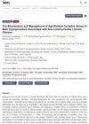 The Mechanisms and Management of Age-Related Oxidative Stress in Male Hypogonadism Associated with Non-Communicable Chronic Disease