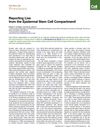 Reporting Live from the Epidermal Stem Cell Compartment
