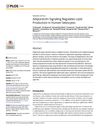 Adiponectin Signaling Regulates Lipid Production in Human Sebocytes