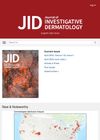 Stabilization of Hemidesmosomal Proteins: A Possible Key Contributor to Wnt/β-Catenin Pathway Action in the Skin