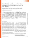 MicroRNA-214 Controls Skin and Hair Follicle Development by Modulating the Activity of the Wnt Pathway