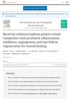 Bacterial Cellulose/Soybean Protein Isolate Composites with Promoted Inflammation Inhibition, Angiogenesis, and Hair Follicle Regeneration for Wound Healing