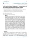 Exploring the Role of Tripeptides in Wound Healing and Skin Regeneration: A Comprehensive Review