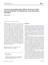 Current Understanding of the Pathways Involved in Adult Stem and Progenitor Cell Migration for Tissue Homeostasis and Repair
