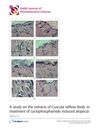 A Study on the Extracts of Cuscuta Reflexa Roxb. in the Treatment of Cyclophosphamide-Induced Alopecia