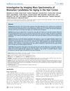 Investigation by Imaging Mass Spectrometry of Biomarker Candidates for Aging in the Hair Cortex