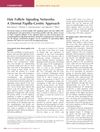 Hair Follicle Signaling Networks: A Dermal Papilla–Centric Approach