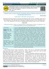 A Hybrid Transfer Learning Approach Using Obesity Data for Predicting Cardiovascular Diseases Incorporating Lifestyle Factors