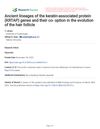 Ancient Lineages of the Keratin-Associated Protein (KRTAP) Genes and Their Co-option in the Evolution of the Hair Follicle