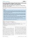 Finasteride Inhibits Human Prostate Cancer Cell Invasion Through MMP2 And MMP9 Downregulation