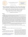 Effects of Fibroblast Transplantation on Macrophage Content and Morphology of Regenerating Ischemic Cutaneous Wounds