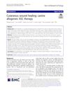Cutaneous Wound Healing: Canine Allogeneic ASC Therapy