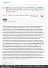 ROS-Responsive Hydrogel-Delivered miR-665 Targets STAT3 to Alleviate Inflammation and Promote Hair Follicle Regeneration in Alopecia Areata
