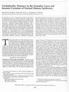Trichohyalin: Presence in the Granular Layer and Stratum Corneum of Normal Human Epidermis