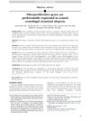 Fibroproliferative Genes Are Preferentially Expressed in Central Centrifugal Cicatricial Alopecia