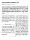 Dermocosmetic Aspects of Hair and Scalp