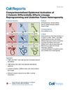 Compartmentalized Epidermal Activation of β-Catenin Differentially Affects Lineage Reprogramming and Underlies Tumor Heterogeneity