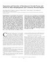 Expression and Function of Keratinocyte Growth Factor and Activin in Skin Morphogenesis and Cutaneous Wound Repair