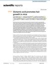Glutamic Acid Promotes Hair Growth in Mice