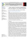 Color Cosmetics: Extraction and Application of Plant-Based Pigments in Shampoo Formulation