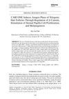 CARI ONE Induces Anagen Phase of Telogenic Hair Follicles Through Regulation of β-Catenin, Stimulation of Dermal Papilla Cell Proliferation, and Melanogenesis