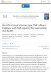 Identification of a Human Type XVII Collagen Fragment with High Capacity for Maintaining Skin Health