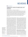 Epigenetic Control of Adult Stem Cell Function