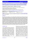 Hair Follicle Mesenchymal Stem Cell Exosomal LncRNA H19 Inhibited NLRP3 Pyroptosis to Promote Diabetic Mouse Skin Wound Healing