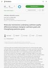 Molecular Mechanisms Underlying Cashmere Quality Differences Between Jiangnan Cashmere Goats and Changthangi Pashmina Goats