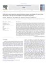 Differential Gene Expression Analysis Between Anagen and Telogen of Capra Hircus Skin Based on the De Novo Assembled Transcriptome Sequence
