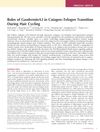 Roles of GasderminA3 in Catagen–Telogen Transition During Hair Cycling