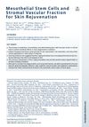 Mesothelial Stem Cells and Stromal Vascular Fraction for Skin Rejuvenation