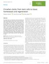 Circadian Clocks: From Stem Cells to Tissue Homeostasis and Regeneration