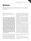 Wnt Signaling, Lgr5, and Stem Cells in the Intestine and Skin
