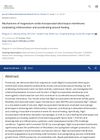 Mechanisms of Magnesium Oxide-Incorporated Electrospun Membrane Modulating Inflammation and Accelerating Wound Healing