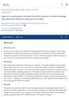 Argan Oil as a Pretreatment of Human Hair Before Exposure to Oxidative Damage: Attenuated Total Reflectance and Protein Loss Studies