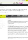 Spermidine Promotes Human Hair Growth and Is a Novel Modulator of Human Epithelial Stem Cell Functions