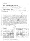 Skin Aging as a Mechanical Phenomenon: The Main Weak Links