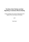 The Role of Hair Follicles and Edar Signaling in Cutaneous Wound Healing