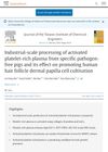 Industrial-Scale Processing of Activated Platelet-Rich Plasma from Specific Pathogen-Free Pigs and Its Effect on Promoting Human Hair Follicle Dermal Papilla Cell Cultivation